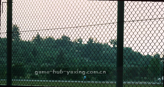 AI趋势雷达 实时洞察技术变革